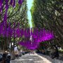 Photo of Jardin Principal de Salvatierra