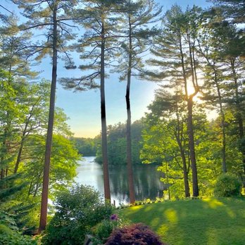 Ethical Tree Services - Don't let dead trees/branches block a gorgeous view of your property. - Tree Services Near Me