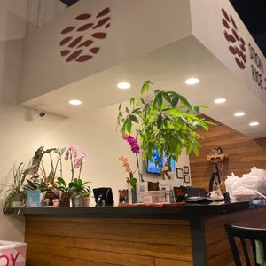 STICKY RICE - 692 Photos & 534 Reviews - Laotian - 223 E Fm 544, Murphy ...