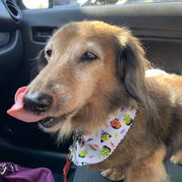 My son, post groom with Anjelica