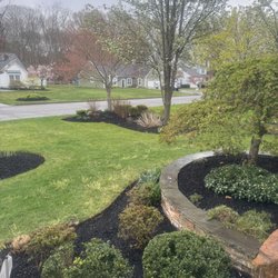 Diamond Jims Landscaping - I trimmed off the tree