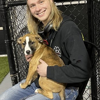 Must Love Paws - Pet Boarding Near Me - Corvallis, Oregon Must Love Paws - Pet Boarding Near Me - Corvallis, Oregon