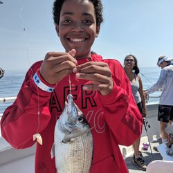 Black Hawk Sport Fishing - Porgy