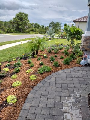 Garden Design - 🌿 Elevate Your Outdoors with Tom Larsen Landscapes! 🏡
Discover paradise at your doorstep with Sarasota's finest garden design company. Our experts create tailor-made, sustainable landscapes that embody coastal elegance.
🌴 Why Choose Us?
Customized designs that reflect your vision.
Award-winning excellence and innovation.
Sustainability for year-round vitality.
Transformative outdoor living spaces.
🌅 Experience the synergy of passion and nature. Contact Tom Larsen Landscapes today to turn your outdoor dreams into a stunning reality! 🌻🌊🌈 Garden Design - 🌿 Elevate Your Outdoors with Tom Larsen Landscapes! 🏡
Discover paradise at your doorstep with Sarasota's finest garden design company. Our experts create tailor-made, sustainable landscapes that embody coastal elegance.
🌴 Why Choose Us?
Customized designs that reflect your vision.
Award-winning excellence and innovation.
Sustainability for year-round vitality.
Transformative outdoor living spaces.
🌅 Experience the synergy of passion and nature. Contact Tom Larsen Landscapes today to turn your outdoor dreams into a stunning reality! 🌻🌊🌈