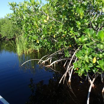 Corey Billie's Airboat Rides - Boat Tours Near Me - Collier, Florida Corey Billie's Airboat Rides - Boat Tours Near Me - Collier, Florida