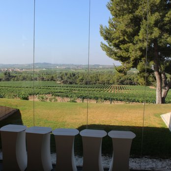 Jean Leon - Wineries Near Me - Terrassola, B