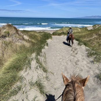 Horse N Around Trail Rides - Horseback Riding Near Me - Bodega, California