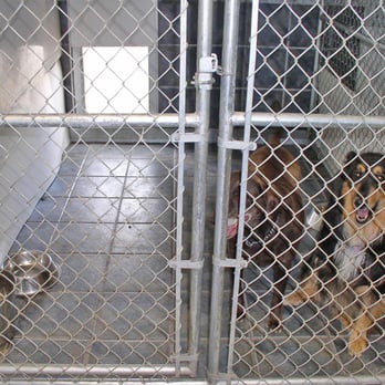Beinnein Kennels - Pet Groomers Near Me - Priddis, Alberta Beinnein Kennels - Pet Groomers Near Me - Priddis, Alberta