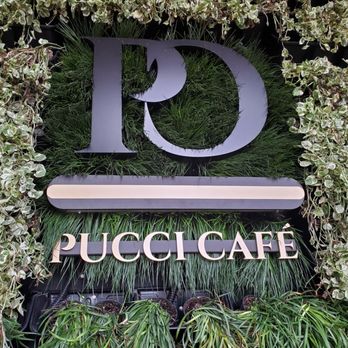 PUCCI Café - Pet Stores Near Me - Katy, Texas PUCCI Café - Pet Stores Near Me - Katy, Texas