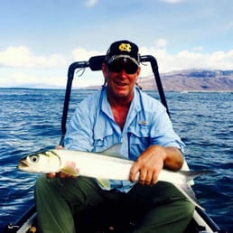Ladyfish