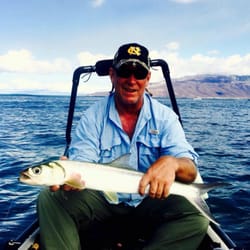 Local Fishing Knowledge - Ladyfish