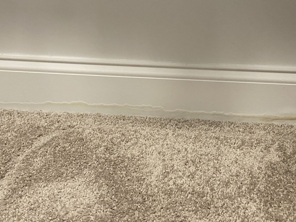 Slide of Roto-Rooter Plumbing & Water Cleanup