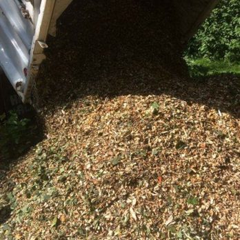 Chickadee Tree Care - Tree Services Near Me
