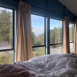 Morning view!
