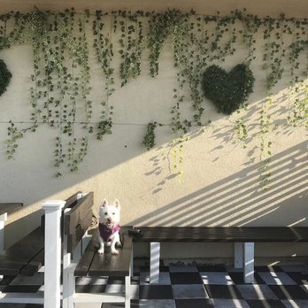 Intentional Coffee - Coffee & Tea Near Me - Fullerton, California Intentional Coffee - Coffee & Tea Near Me - Fullerton, California