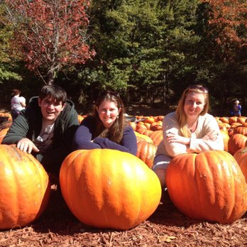 Burt's Pumpkin Farm - Fruits & Veggies Near Me - Dawsonville, Georgia Burt's Pumpkin Farm - Fruits & Veggies Near Me - Dawsonville, Georgia