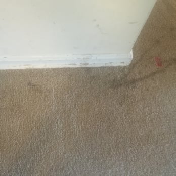 The Green Mop - Carpet stain - Home Cleaning Near Me - Arlington, Virginia The Green Mop - Carpet stain - Home Cleaning Near Me - Arlington, Virginia