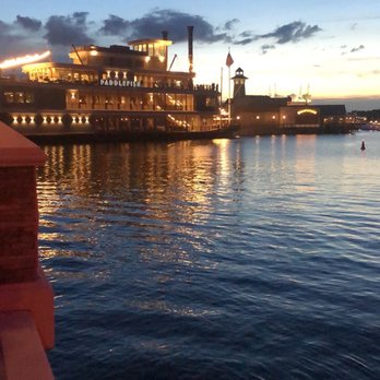 Paddlefish - Seafood Near Me - Orlando, Florida Paddlefish - Seafood Near Me - Orlando, Florida