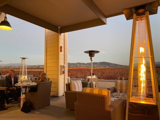 Bottaia Winery by null
