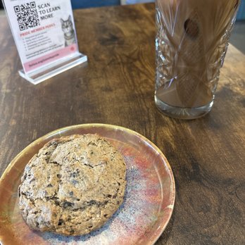Felius Cat Café & Rescue - Coffee & a cookie at felius cat cafe - Pet Adoption Near Me - Omaha, Nebraska Felius Cat Café & Rescue - Coffee & a cookie at felius cat cafe - Pet Adoption Near Me - Omaha, Nebraska