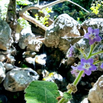 Solstice Canyon - Parks Near Me - Malibu, California