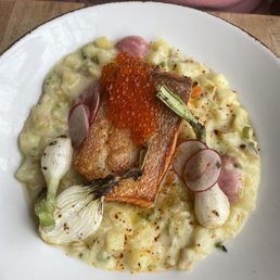 Steel head Trout