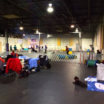 Agility and Rally for Fun - Pet Training Near Me - Columbus, Ohio Agility and Rally for Fun - Pet Training Near Me - Columbus, Ohio