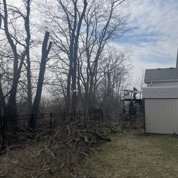 Lagunas Tree Service - Tree Services Near Me - Round Lake Beach, Illinois Lagunas Tree Service - Tree Services Near Me - Round Lake Beach, Illinois