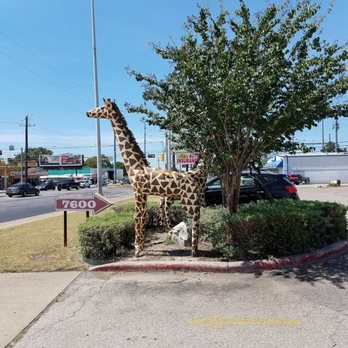 Tex-Mex Joe's - Tex-Mex Near Me - Austin, Texas
