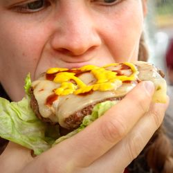 EdeBees Snack Shack - Meat eaters know best