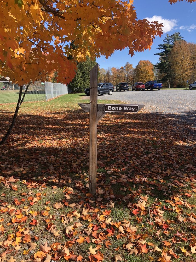 ROMP AND PLAY DOG PARK Updated August 2024 13 Photos 584 Eastline