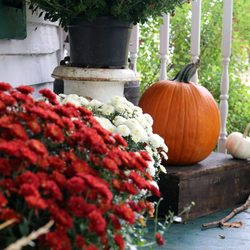 Bourbonnais Township Park District - Perry Farm in Fall