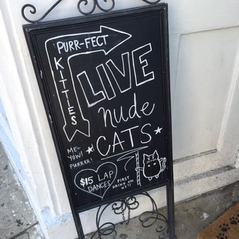 Pounce Cat Cafe - Pet Adoption Near Me - Charleston, South Carolina Pounce Cat Cafe - Pet Adoption Near Me - Charleston, South Carolina