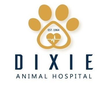 Dixie Animal Hospital - pet boarding facility in Louisville, KY