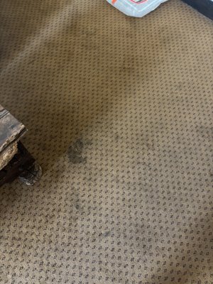 The Holland Hotel by null