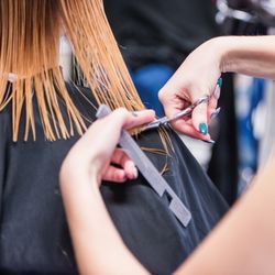 1 Eleven Cut-N-Style