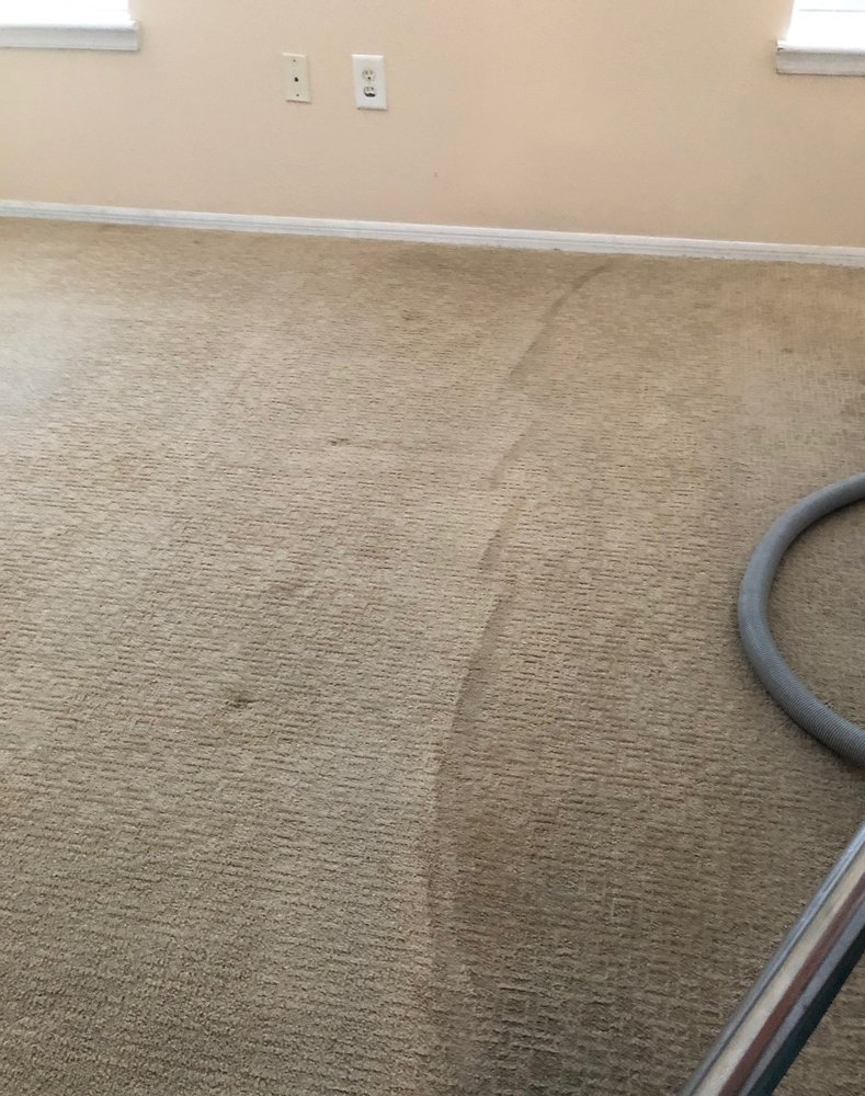 EXPRESS CARPET CARE OF HILLSBOROUGH Updated June 2024 Brandon