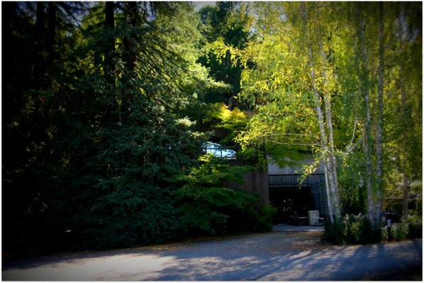 Storybook Mountain Winery by null