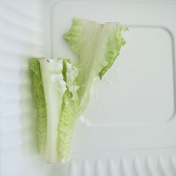 Butcher Block Cafe - BLT lettuce - Breakfast & Brunch Near Me - Denver, Colorado