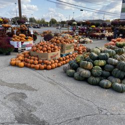 62nd Street Farmer's Market - Tons of pumpkin varieties