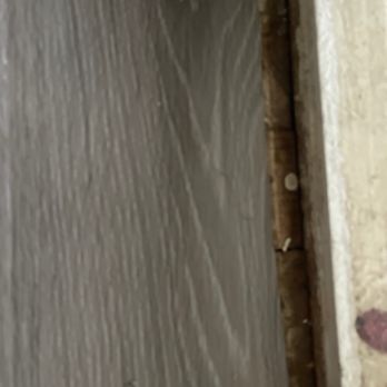 OC Professional Carpet Repair - He told me this is the best they could do I would have to leave it - Carpet Installation Near Me - Anaheim, California OC Professional Carpet Repair - He told me this is the best they could do I would have to leave it - Carpet Installation Near Me - Anaheim, California