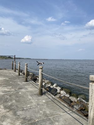 Sylvan Beach Park by null