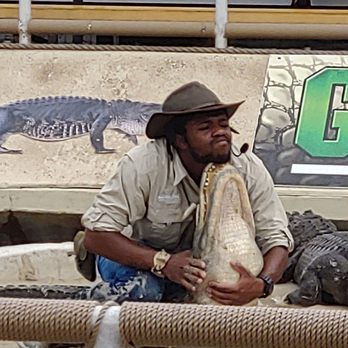 Gatorland - The show danger - Zoos Near Me - Orlando, Florida