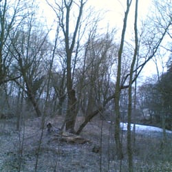 Pferdeinsel