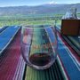 Photo of South Hill Winery