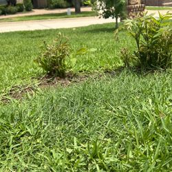 Veterans Tree Service