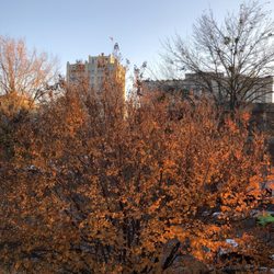 University of Tennessee at Chattanooga - View from Johnson Obear Dorms in fall