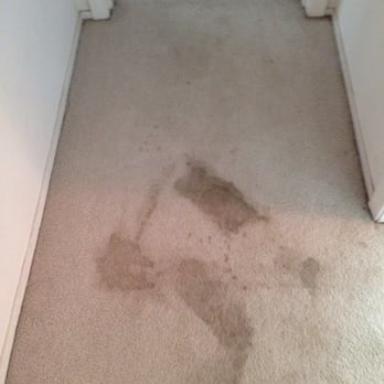National Multi Steam - Before - Carpet Cleaning Near Me - Napa, California National Multi Steam - Before - Carpet Cleaning Near Me - Napa, California