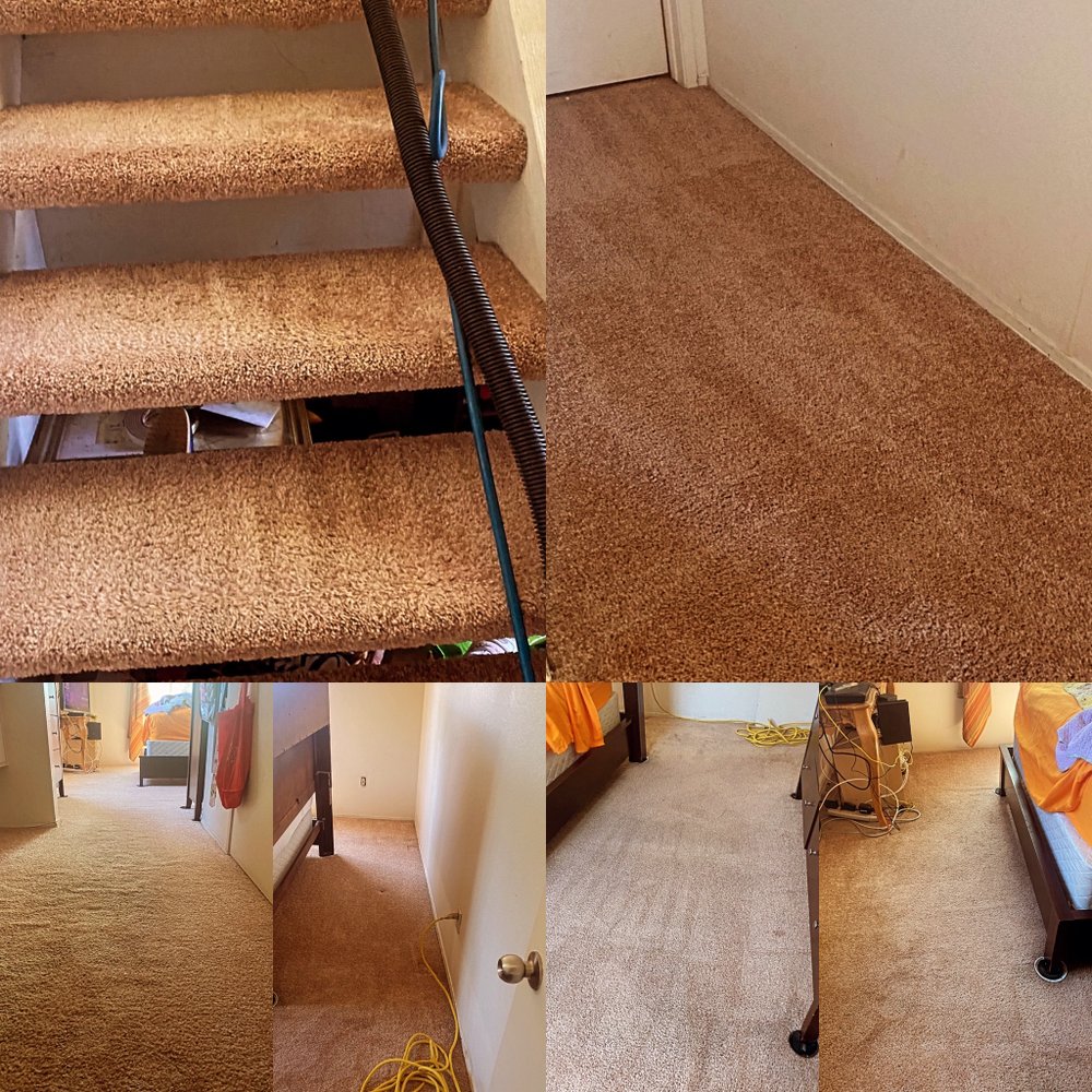CARPET CLEANING KINGS Updated September 2024 39 Photos Moreno