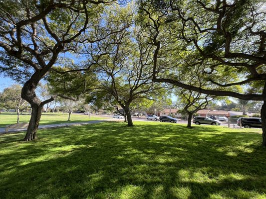 Kate Sessions Memorial Park by null
